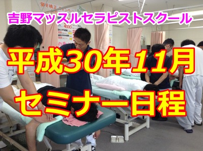 Ê¿À®30ǯ11·î¥»¥ß¥Ê¡¼ÆüÄø