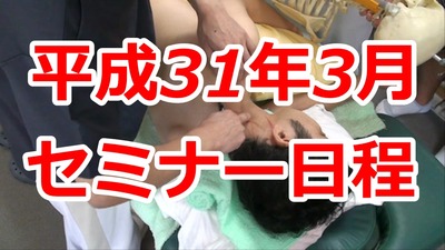 Ê¿À®31ǯ3·î¥»¥ß¥Ê¡¼ÆüÄø