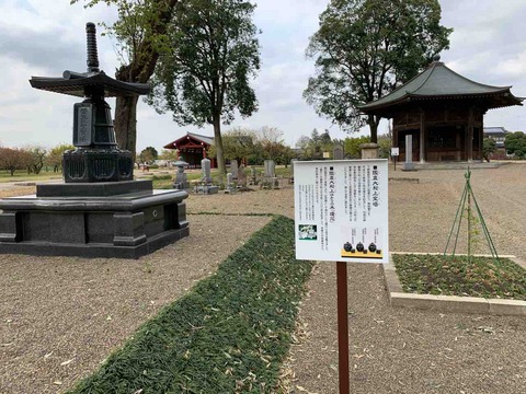 CC1C4308-8321-43D5-8FF9-6F90F928B2C2