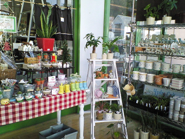 岡崎市 雑貨屋shop Ilex ｱｲﾚｸｽ あいのあいらぶ日記