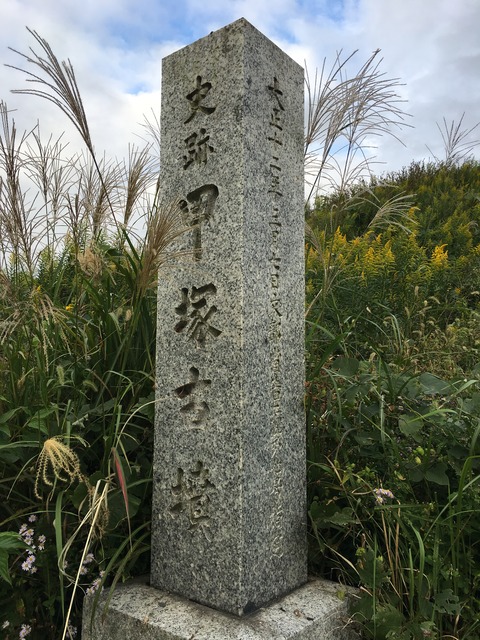 40