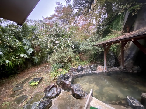 2019-11-24 06.37.43-1