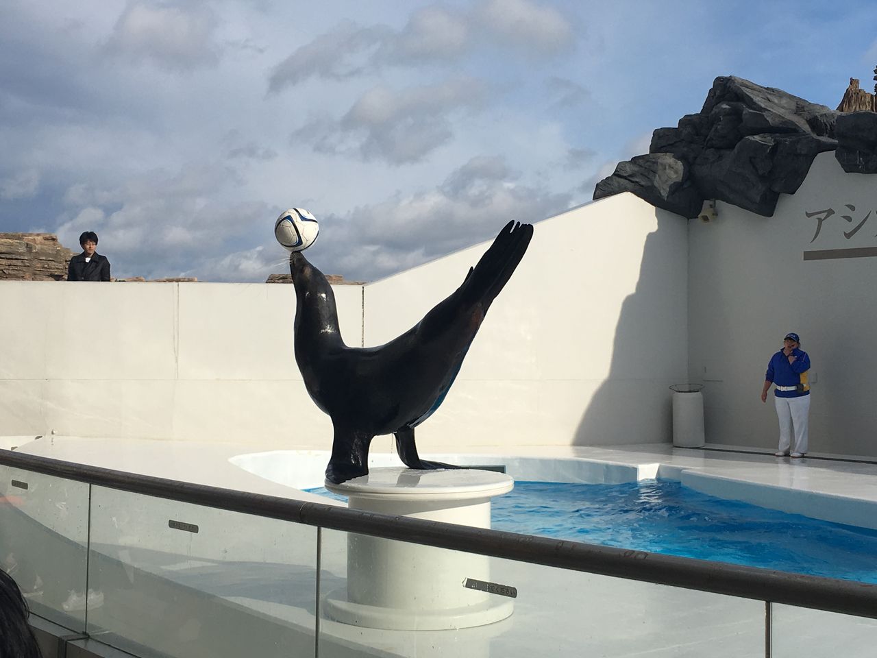 鴨川シーワールド 世界一のシャチショー : 吉田みきと ほぼ毎日ブログ