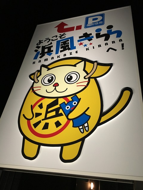 12 - コピー