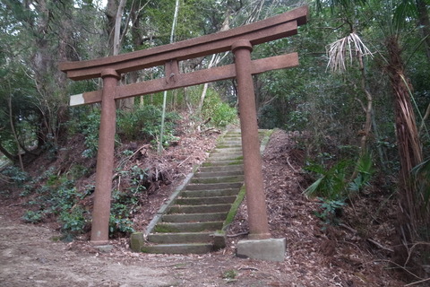 07