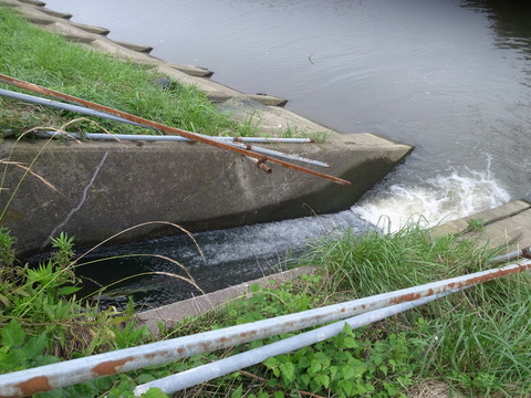 R0019923