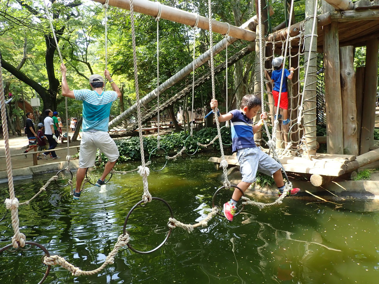 清水公園 日本屈指のフィールドアスレチック : 吉田みきと ほぼ毎日ブログ