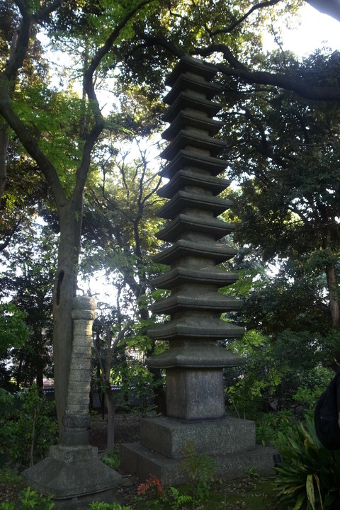 03