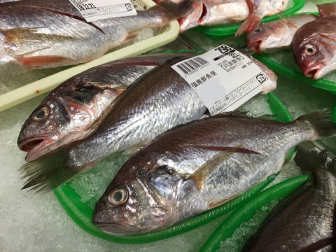 Inked2018-12-20 13.48.05_LI