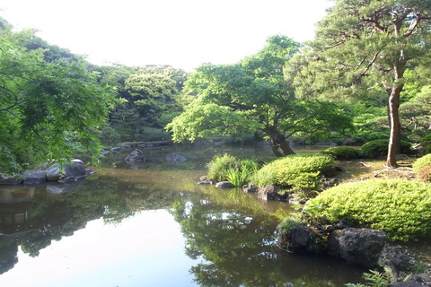 50