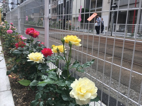 2019-05-20 13.37.10