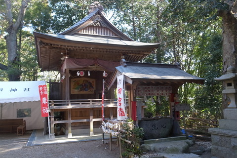 06