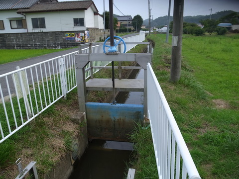 R0019921