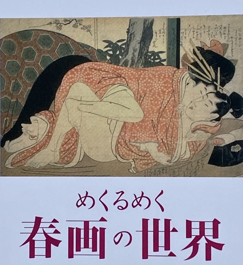 2019-11-13 15.45.12-1