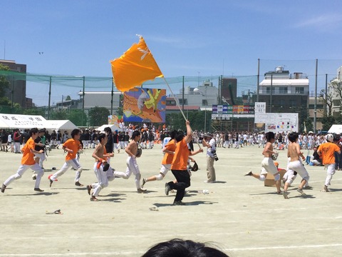吉田みきと ほぼ毎日ブログ 開成学園 運動会
