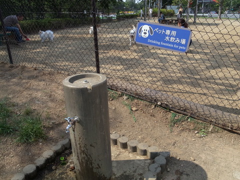 R0019024