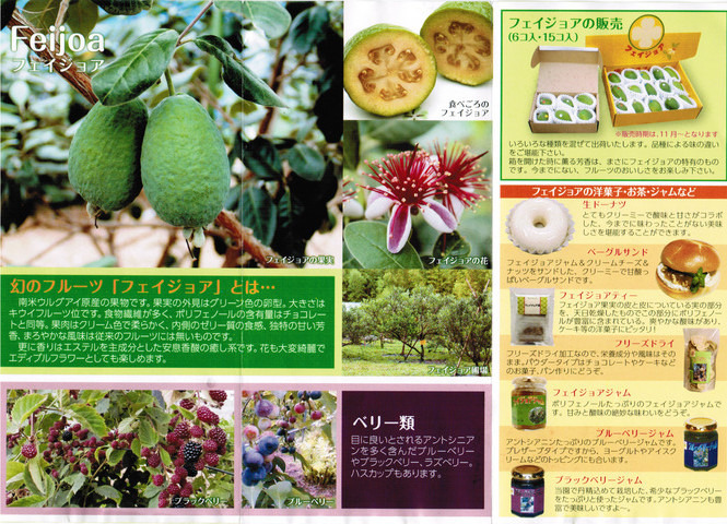 CCI20130805_00001