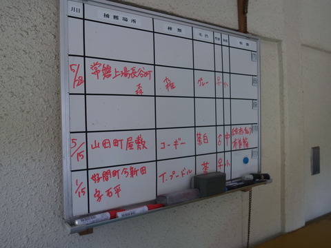 R0019115
