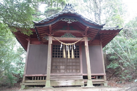 07