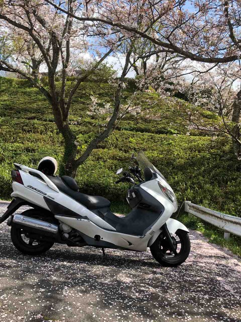 A0355932-EB70-4CE0-9EC1-9C2653243CF6