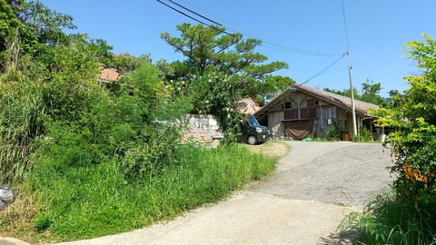 HORIZON_0001_BURST20251010121825289_COVER