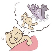 きいろいろ１０