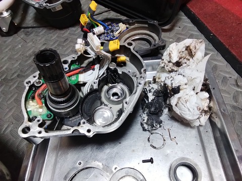 IMG_20260325_021408_572