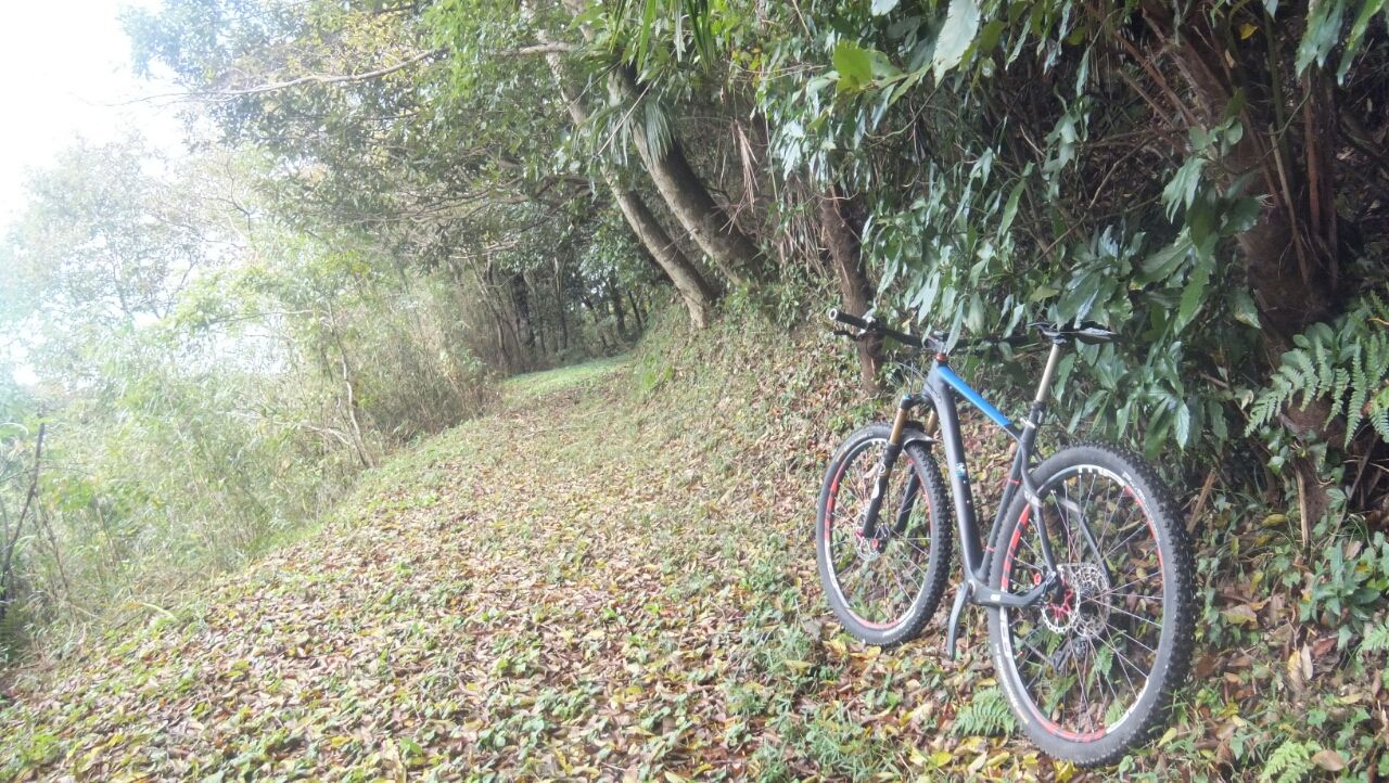 千葉のmtbトレイル 佐倉 初心者コース 引っ越し止めました 中華カーボン２９er 次郎