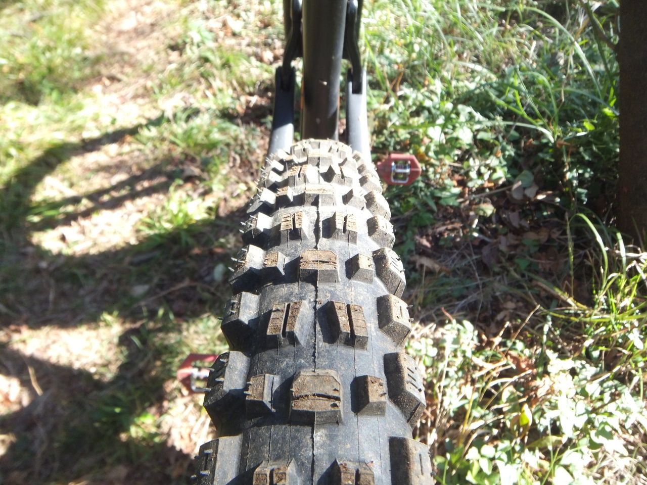 新タイヤ Maxxis Assegai 29x2 5wt マキシス アッセガイ 自走 エンデューロ用途に 中華カーボン２９er フルオーダーチタンフレーム 受け付けます 群馬でガイドツアーライド始めます