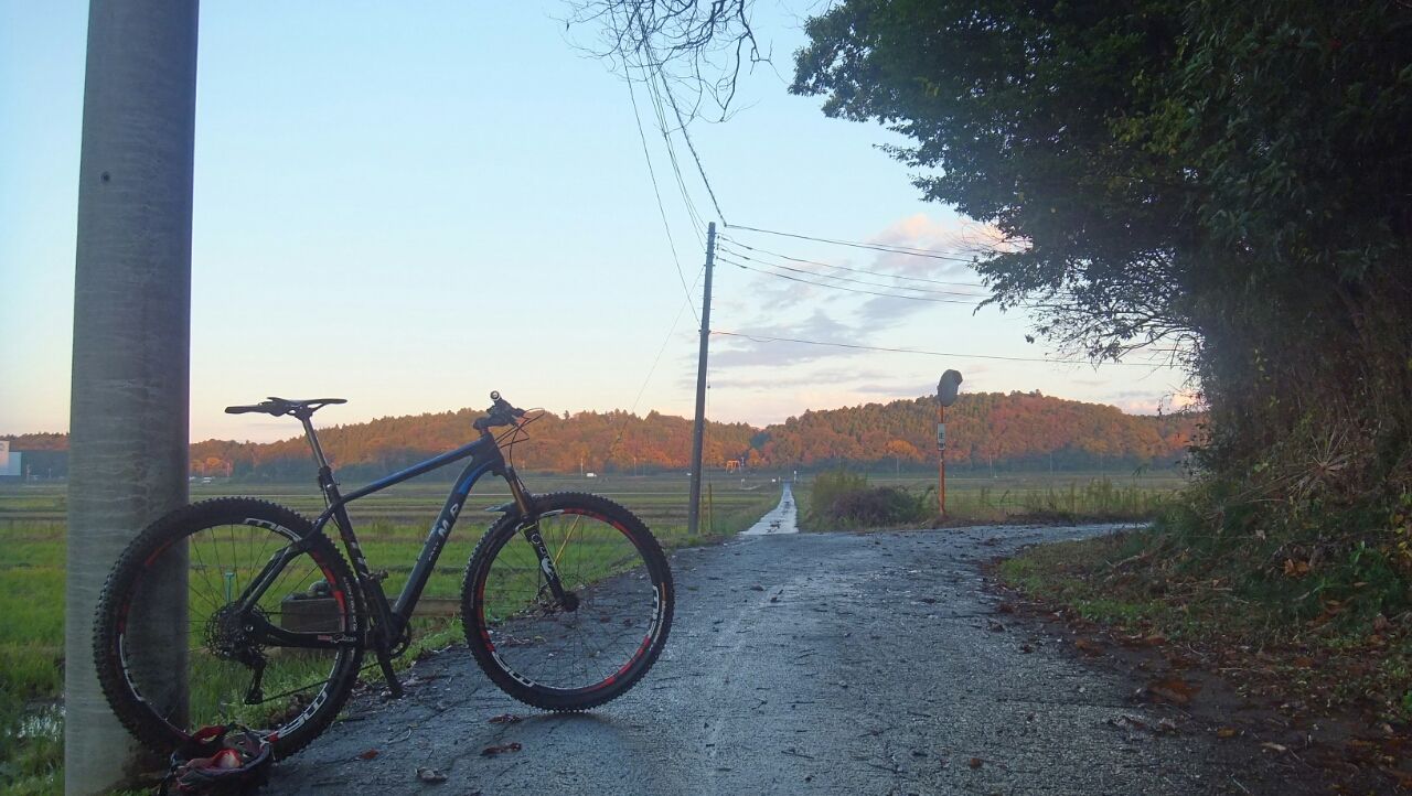 千葉のmtbトレイル 佐倉 初心者コース 引っ越し止めました 中華カーボン２９er 次郎