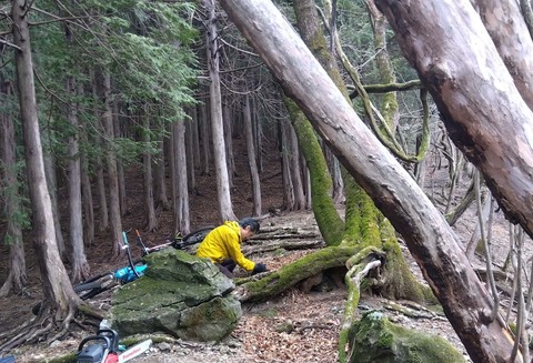 received_1291268719612873~2