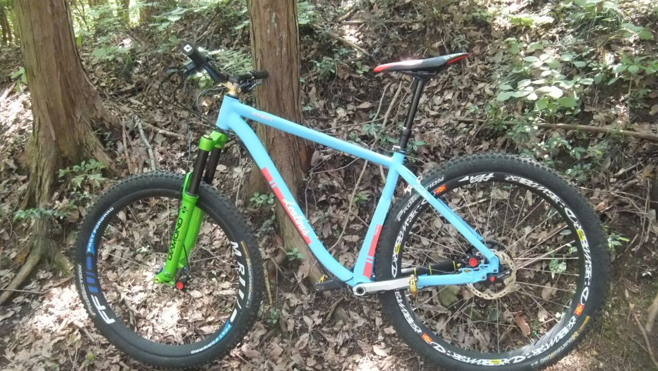 ZeaLous Divisio2 29inchマウンテンバイクフレーム Amazon | 29 インチ自転車フレーム フルサスペンション マウンテン