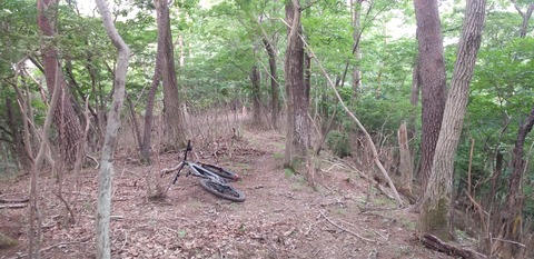 DSC_0150_065419