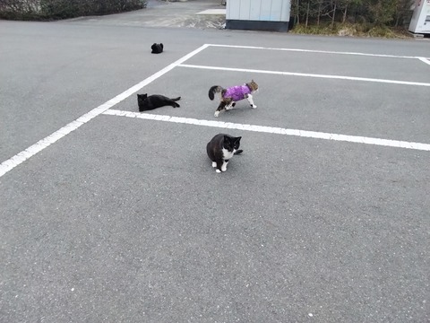 IMG_20260405_155544_666