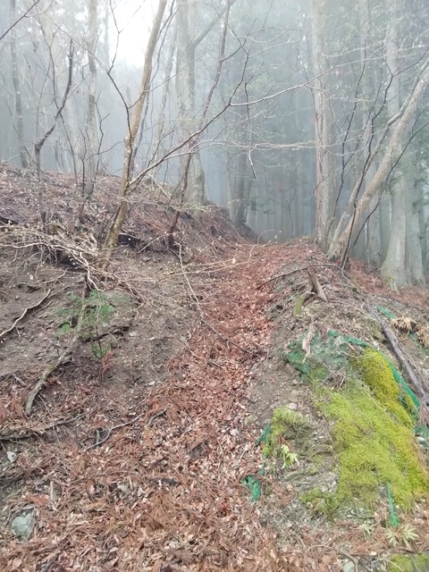 IMG_20260404_153102_505