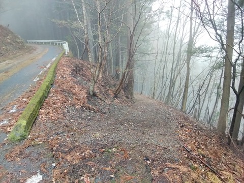 IMG_20260404_153115_222