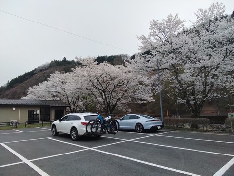 IMG_20260405_155323_899