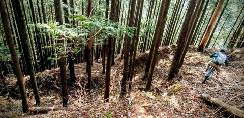 received_1307391134640885