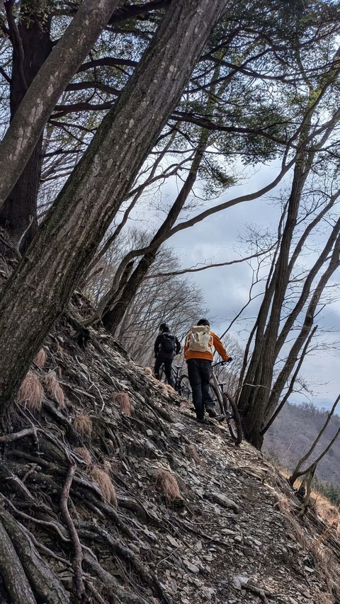 received_1486774306395733