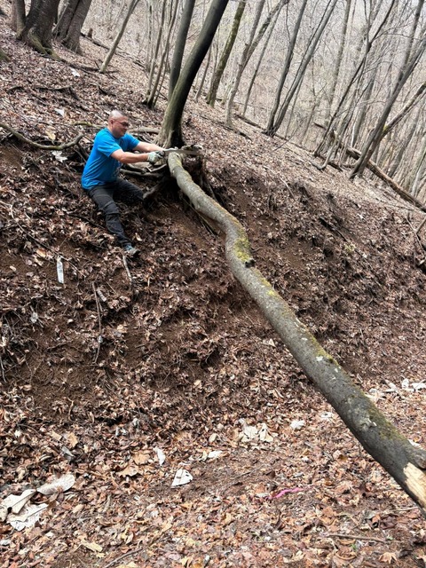 received_976541311610942