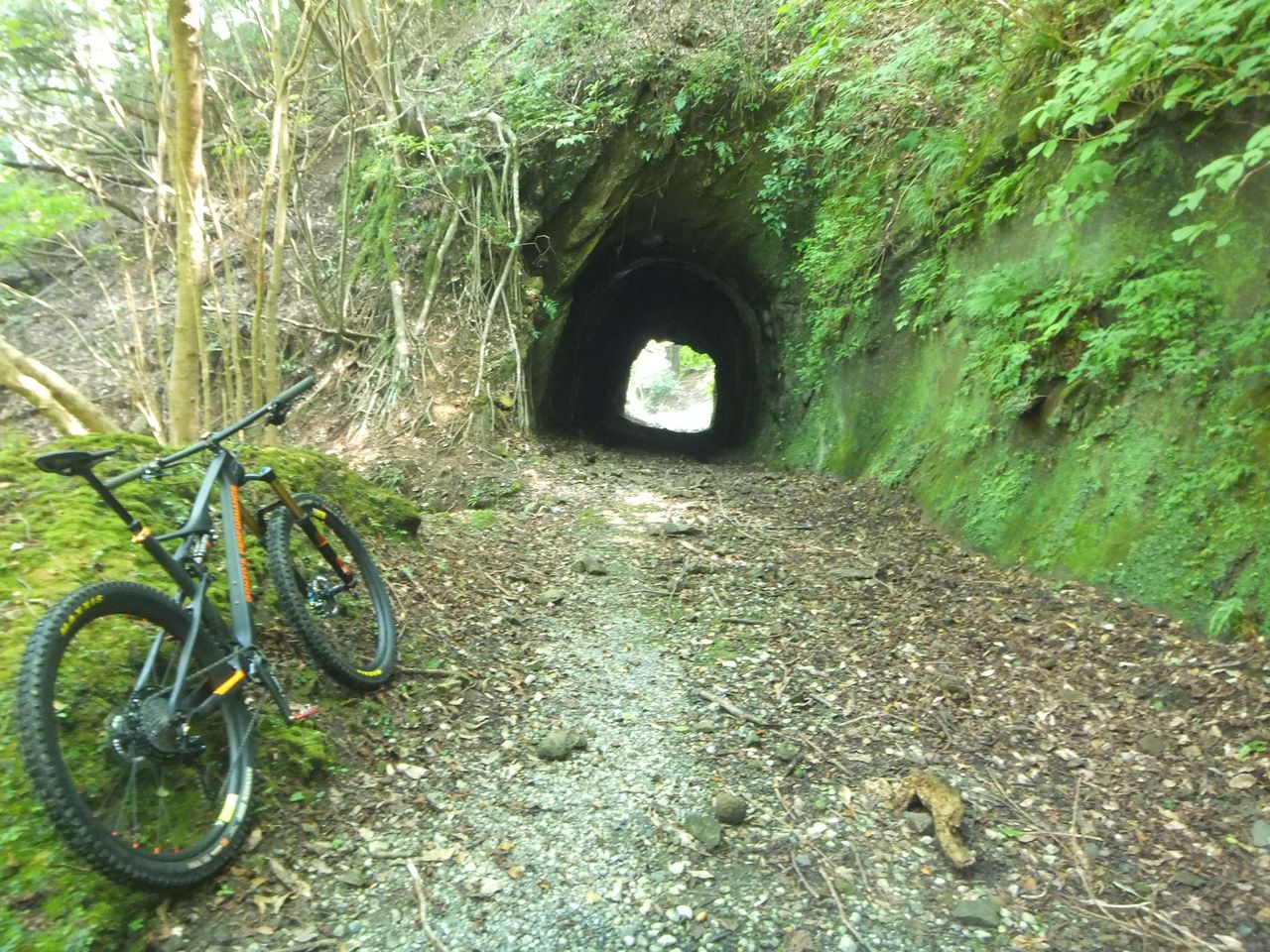 スプライン マイクロ