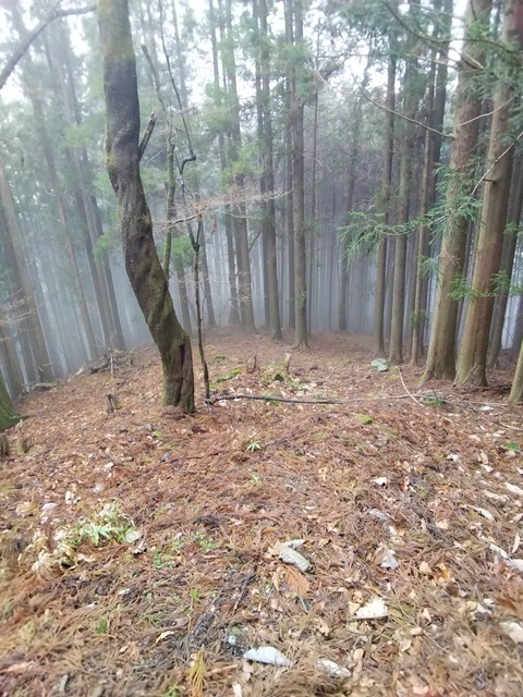 IMG_20260404_152737_150