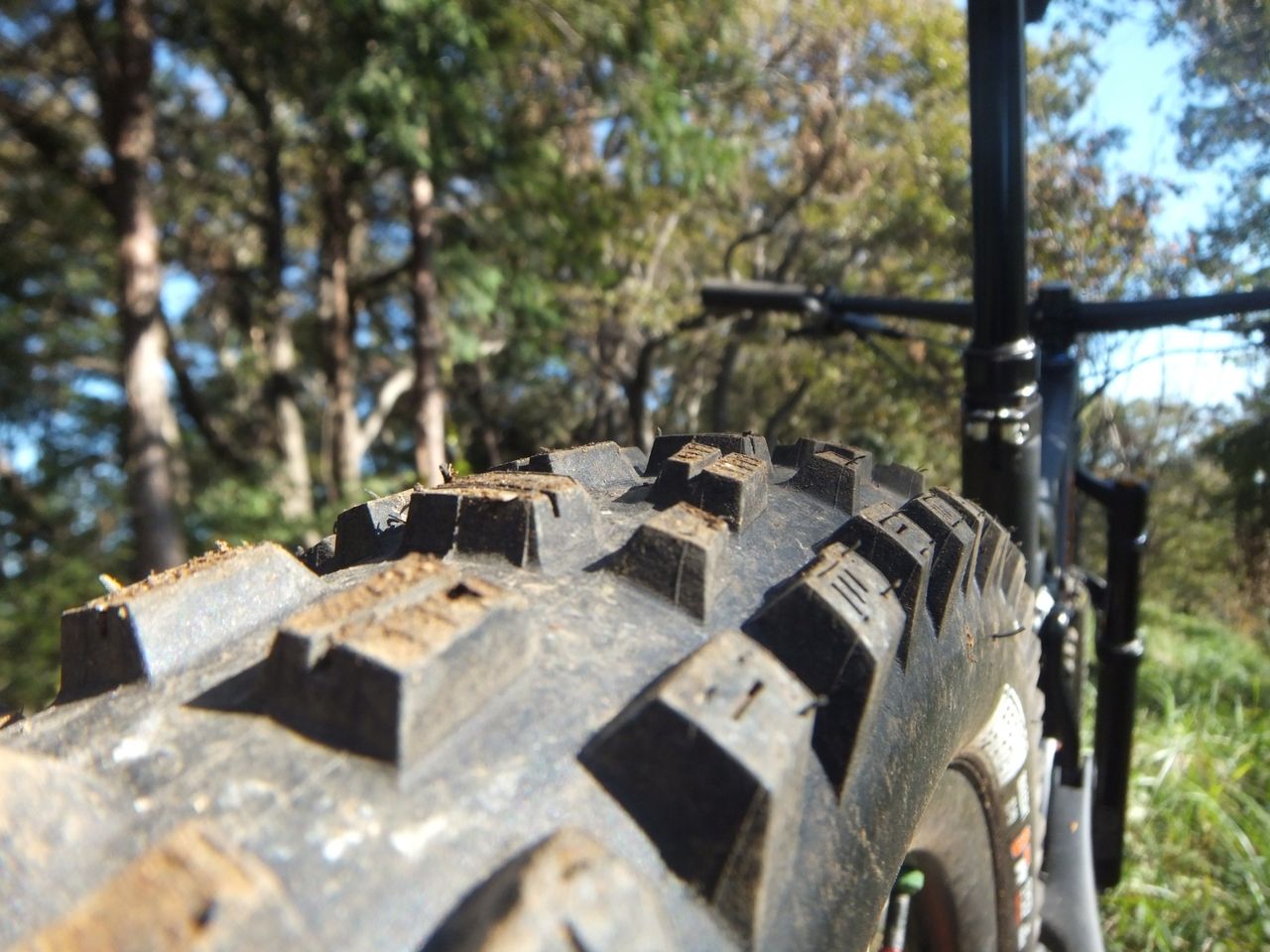 MAXXIS ASSEGAI 29er DH マキシス アッセガイ 2本セット MAXXIS