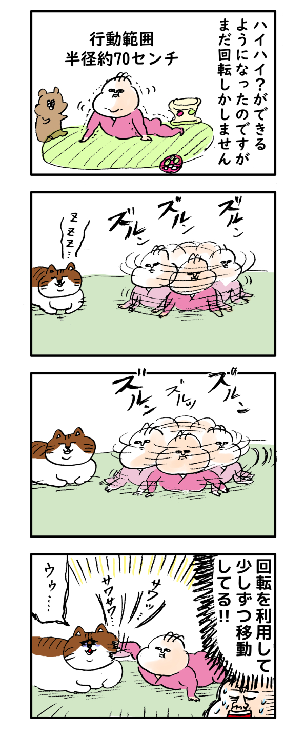 猫めがけて黄金の回転する娘さん わっしょい ヒゲ母ちゃん Powered By ライブドアブログ 猫めがけて黄金の回転する娘さん わっしょい ヒゲ母ちゃん Powered By ライブドアブログ
