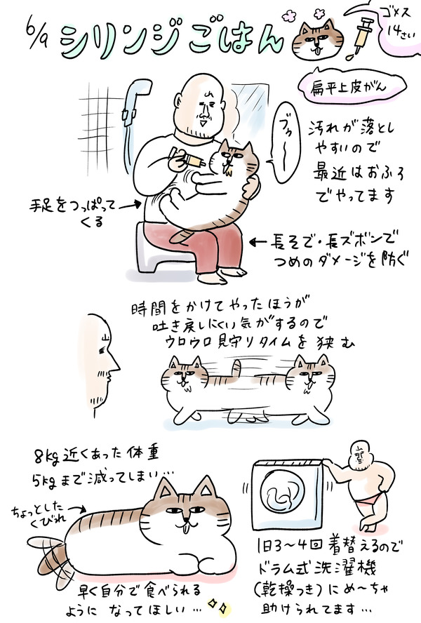 ごめ0609