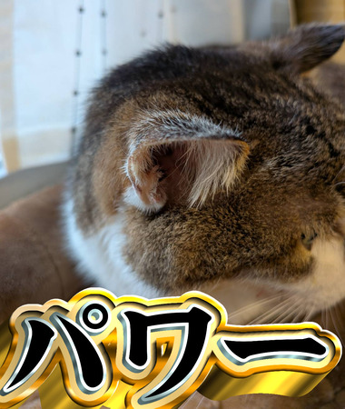 パワー