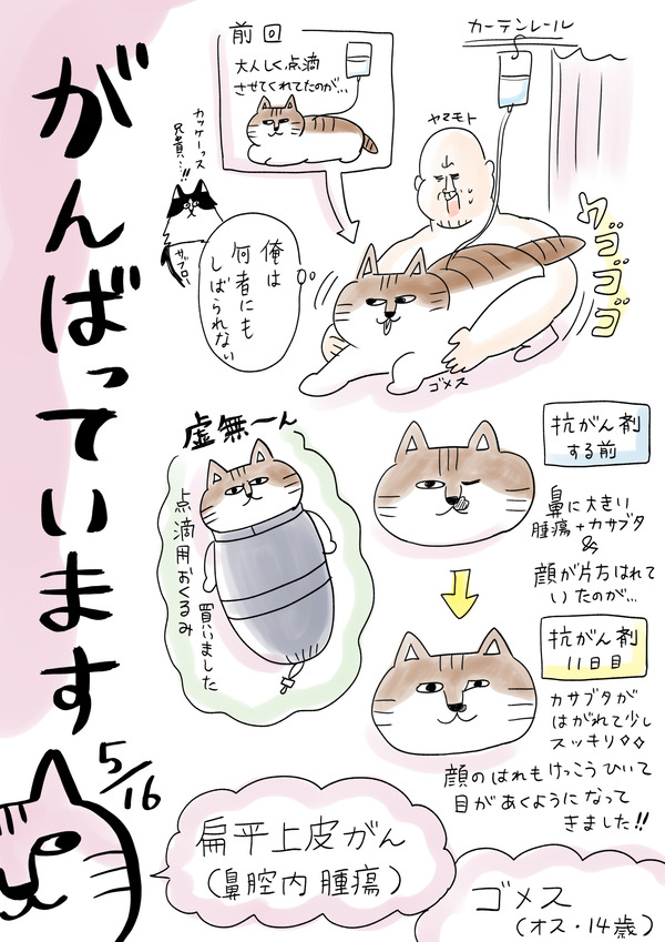 ゴメ0516