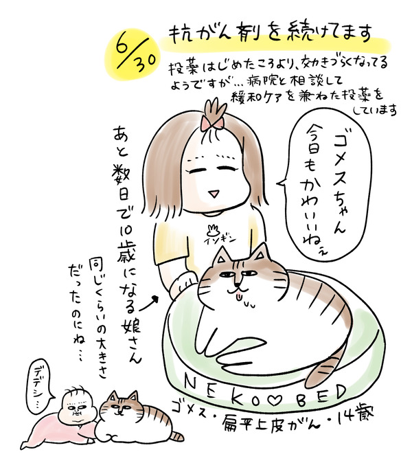 0629ゴメ1