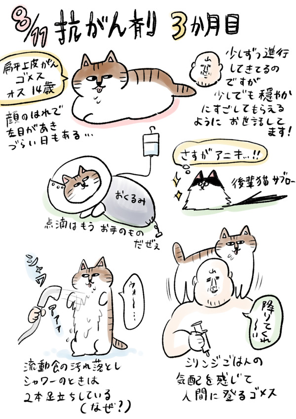 0811ゴメ