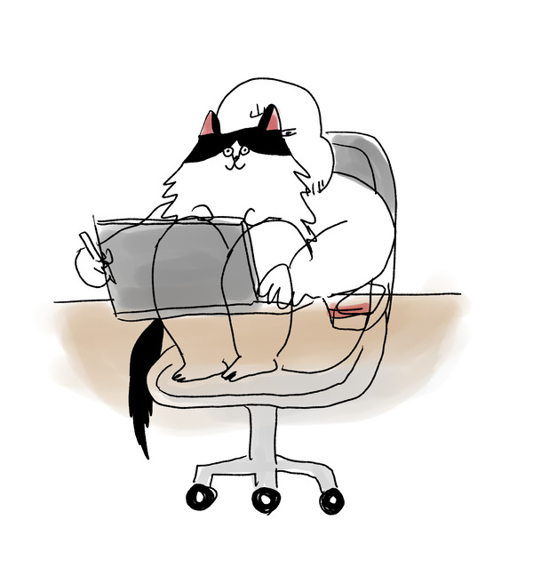 こすいしごと